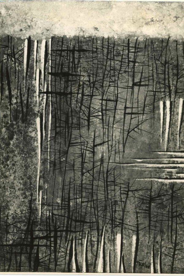 Černé jezero, 1960, Foto: Zdenko Feyfar,  Praha 1, Platnářská 8